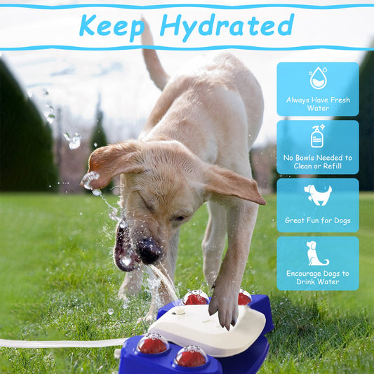 Outdoor Paw-Activated Dog Sprinkler & Water Dispenser